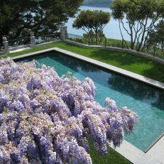 Wisteria and Waterfront Pool