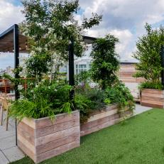 Container Gardens and Turf
