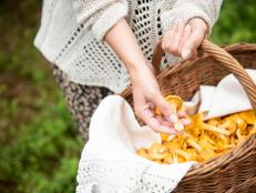 Woman holding a basket of chanterelle mushrooms in a forest