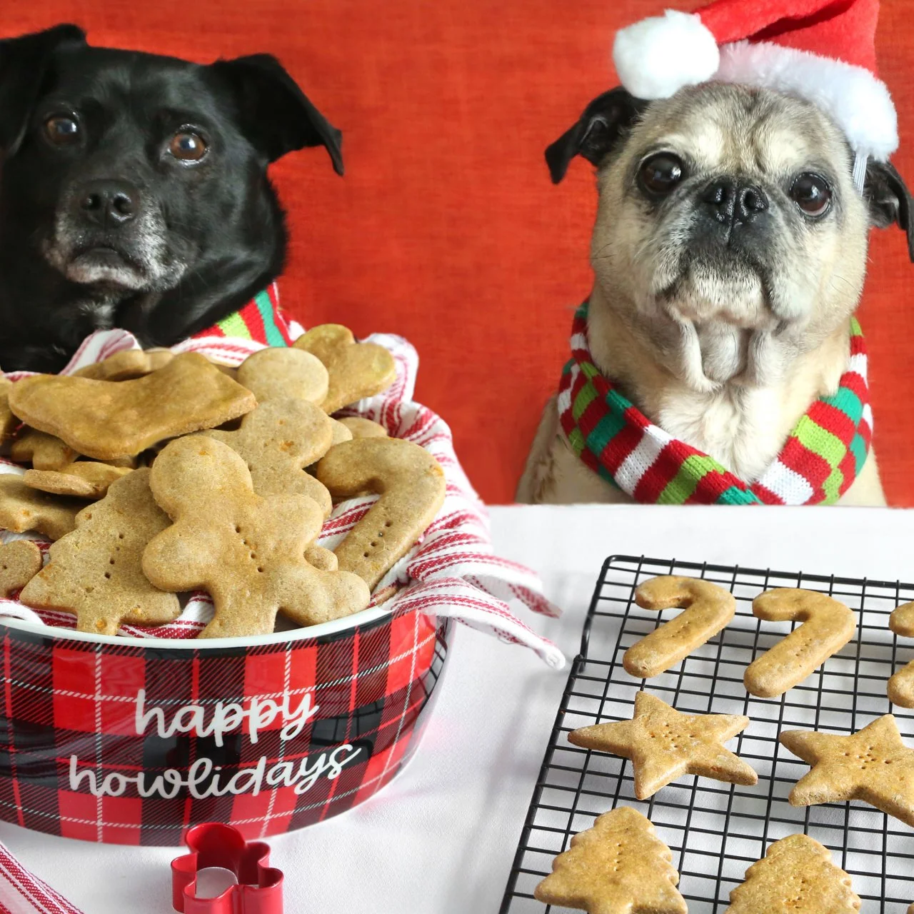 Homemade Christmas Cookies for Dogs Recipe HGTV