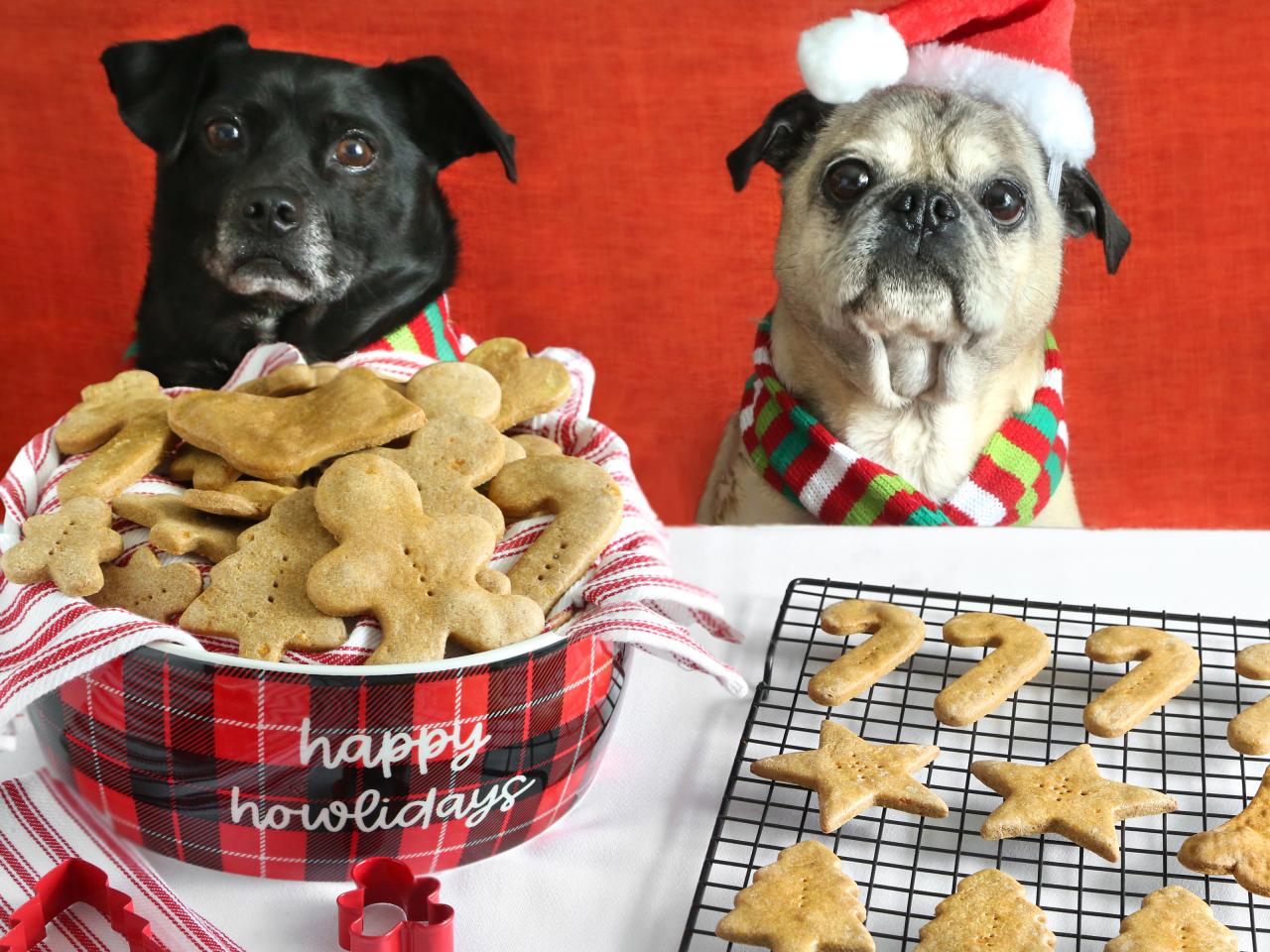 Homemade Christmas Cookies for Dogs Recipe HGTV