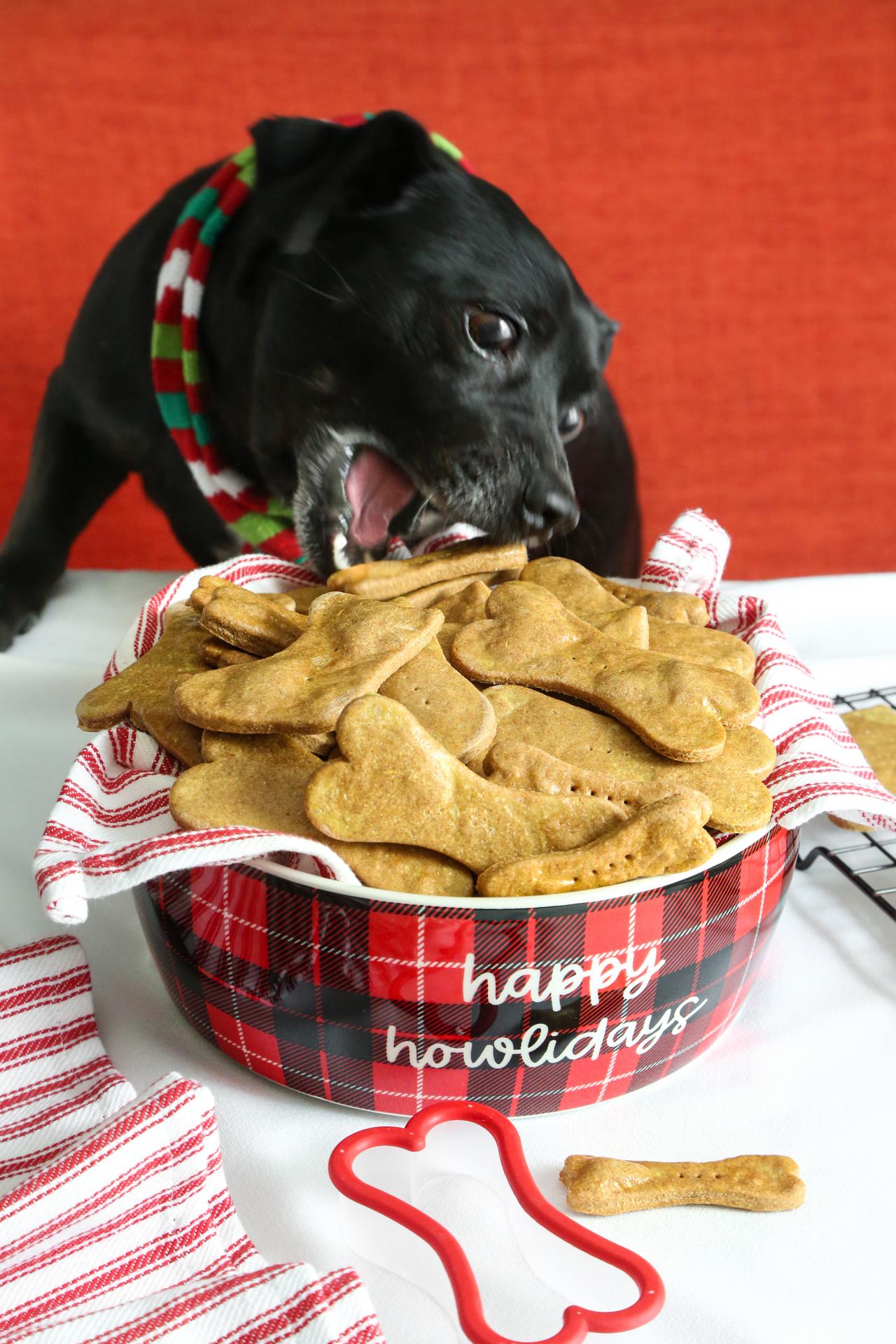 Homemade Christmas Cookies for Dogs Recipe | HGTV