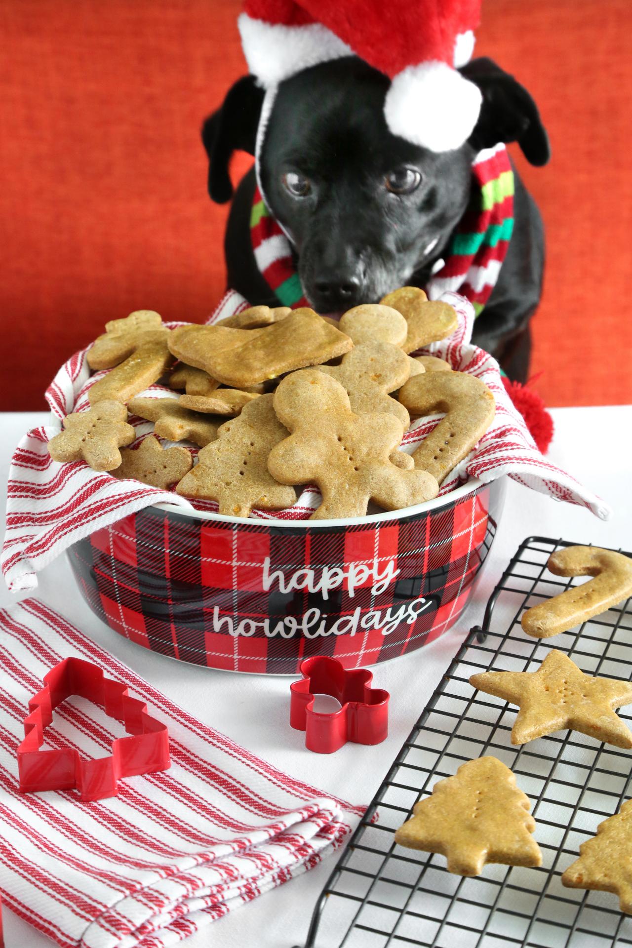 Homemade Christmas Cookies for Dogs Recipe | HGTV
