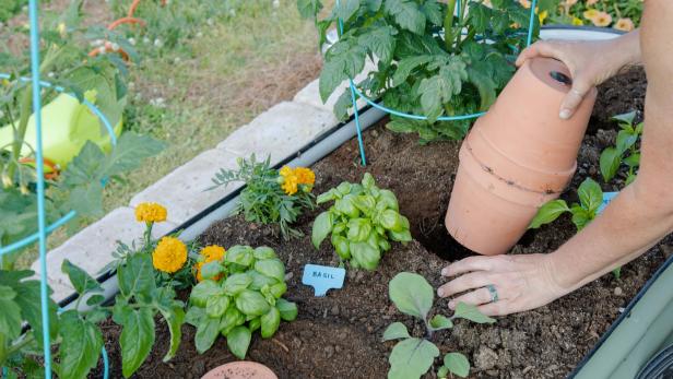 3 Ways to Make a DIY Olla Self-Watering Gardening System