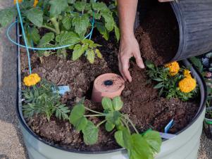 Epic Gardening - DIY OLLA - Ollas are a fantastic and ancient