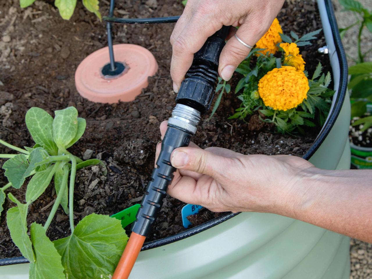 DIY Terra-Cotta Olla Self-Watering System For Gardening | HGTV