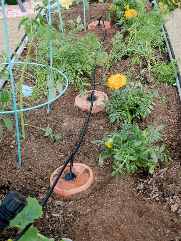 DIY Terra-Cotta Olla Self-Watering System For Gardening | HGTV