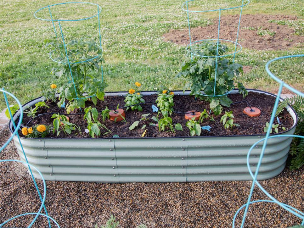  Top Self-Watering Systems for Urban Gardens