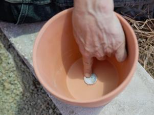  THE OLLA COMPANY, Olla Classic Small – Olla Watering Pot with  lid, Olla Watering System with Terra Cotta Clay Irrigation Pots