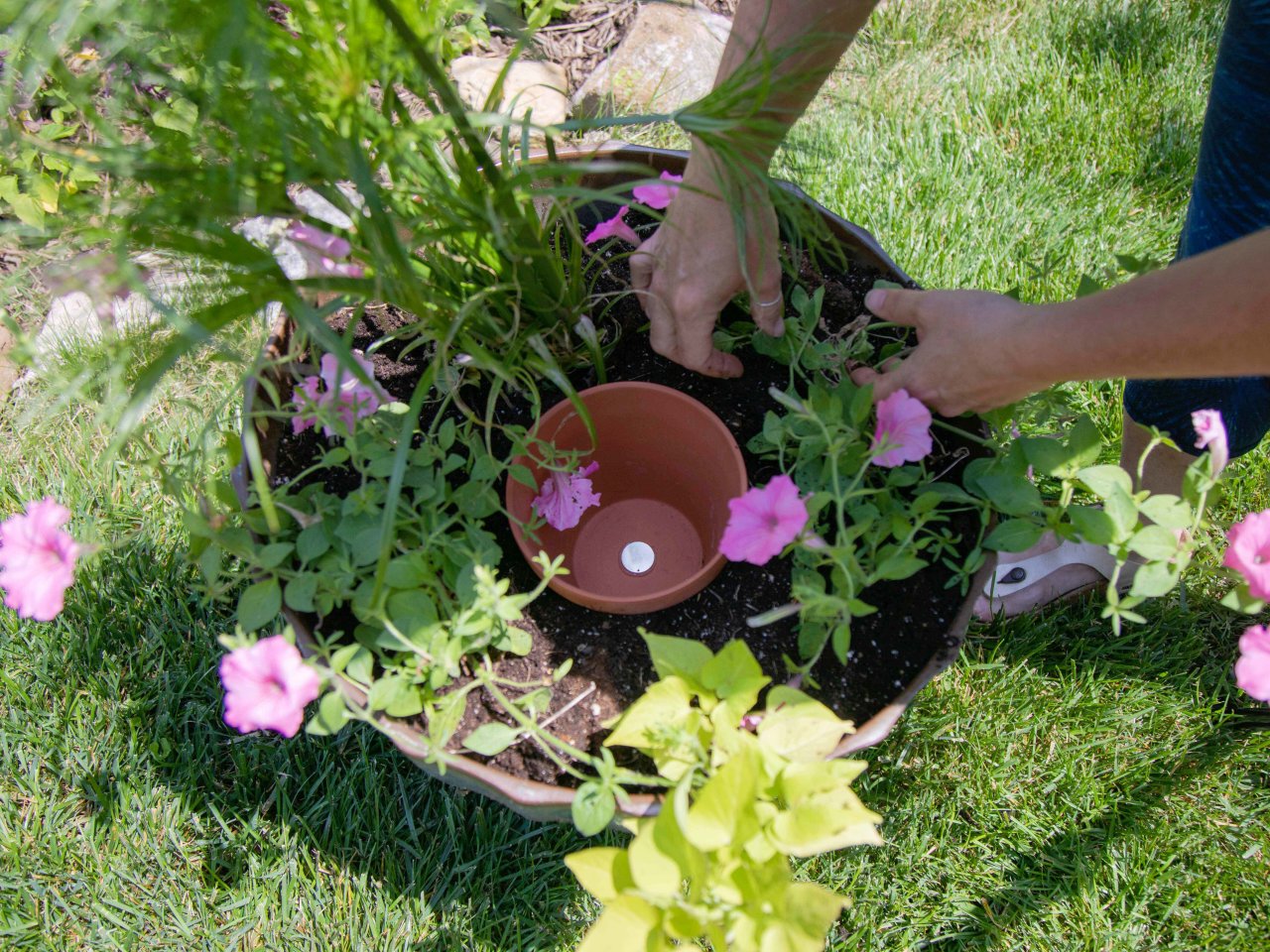 DIY Terra-Cotta Olla Self-Watering System For Gardening | HGTV