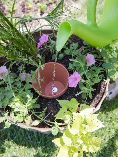 DIY Terra-Cotta Olla Self-Watering System for Gardening