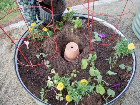 DIY Terra-Cotta Olla Self-Watering System for Gardening