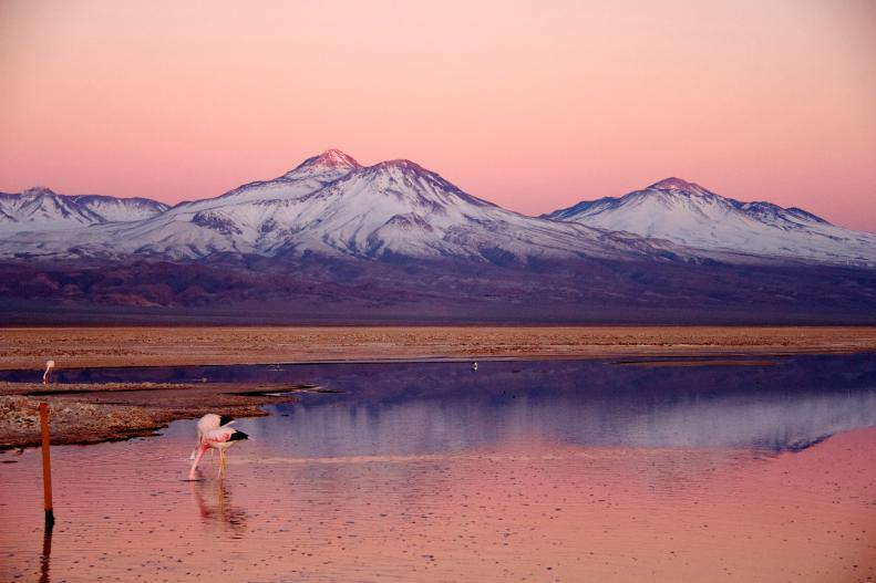 The mountains in San Pedro de Atacama, silhouetted against the evening sky, and birds feeding in a lake.