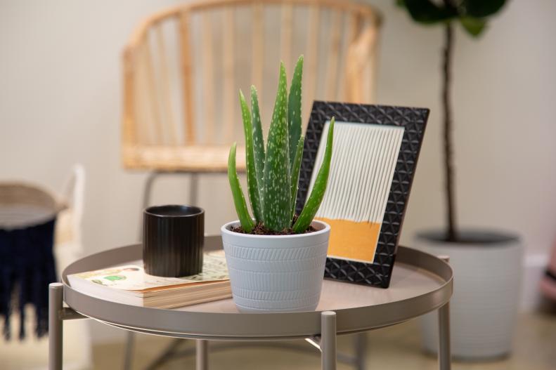 An aloe vera plant in a white pot sitting on a small table beside a picture frame, cup and some books.