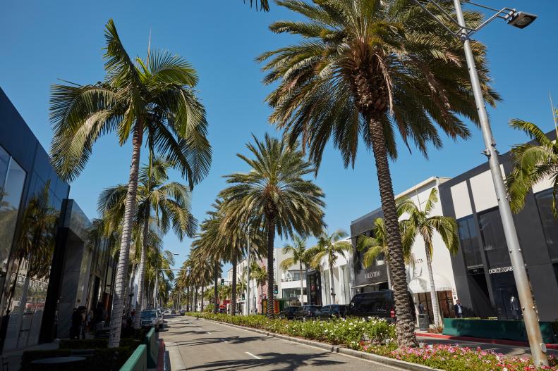 Palm trees lining the streets beside shops on Rodeo Drive in Beverly Hills, California