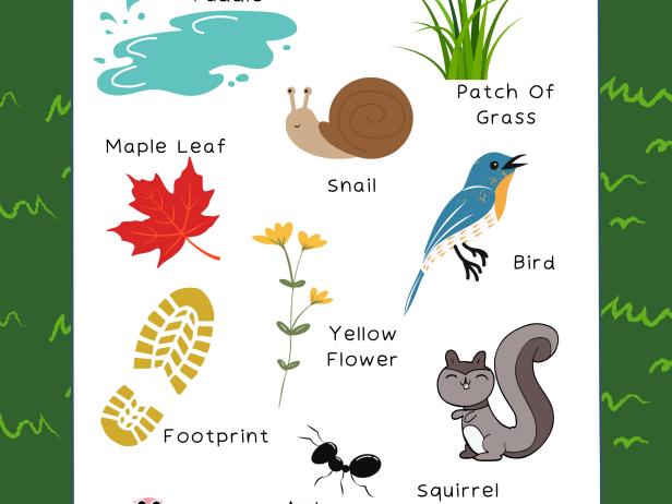 Free, Printable Outdoor Scavenger Hunt for Kids | HGTV