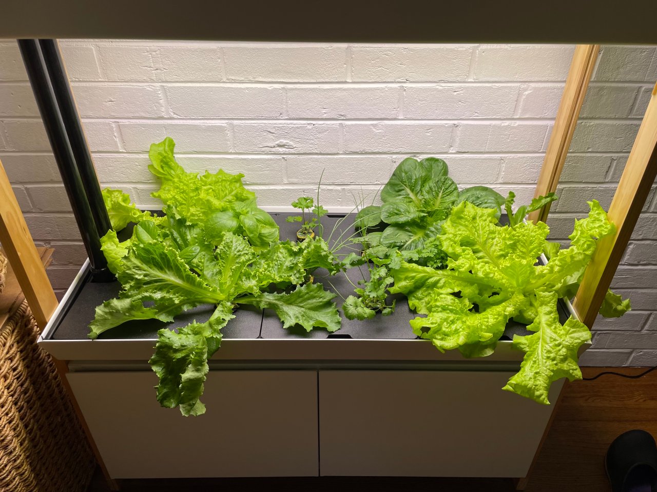 The Best Hydroponic System | Rise Gardens Indoor Hydroponic System ...