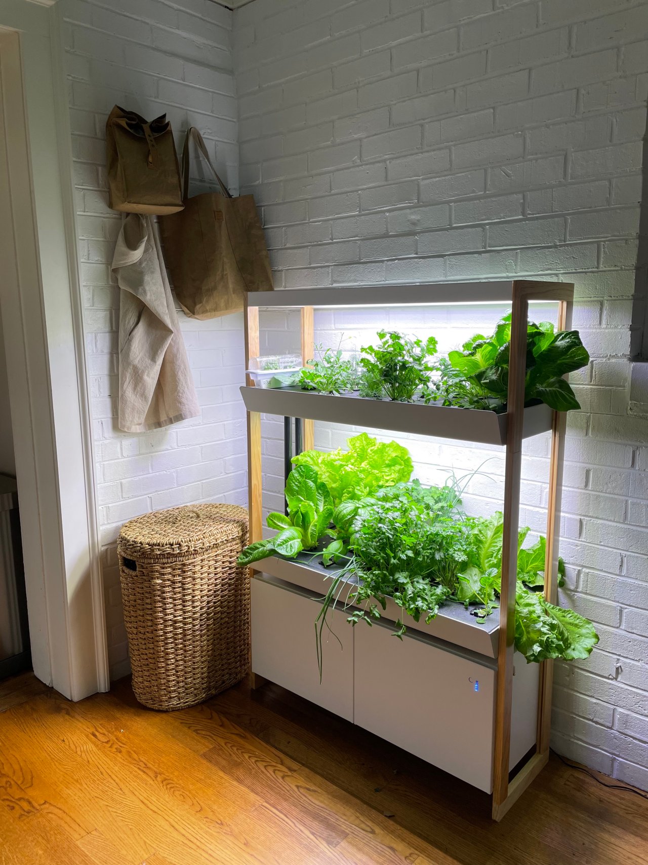 The Best Hydroponic System | Rise Gardens Indoor Hydroponic System