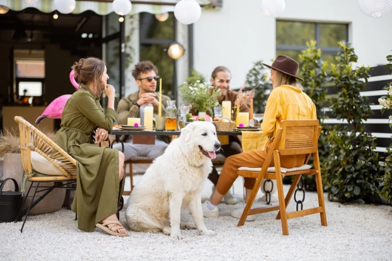 A group of young friends and dog have delicious dinner, having great summertime together at the backyard of the country house