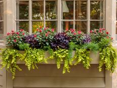 A window box filled with impatiens, asparagus ferns, creeping jenny and oxalis.