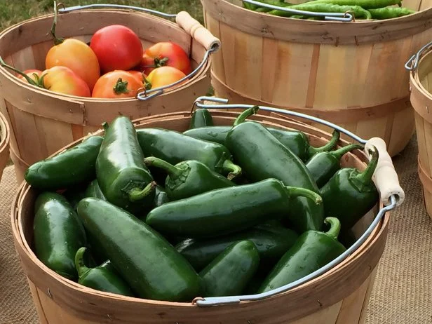 baskets of 'La Bomba II' jalapeno peppers and tomatoes