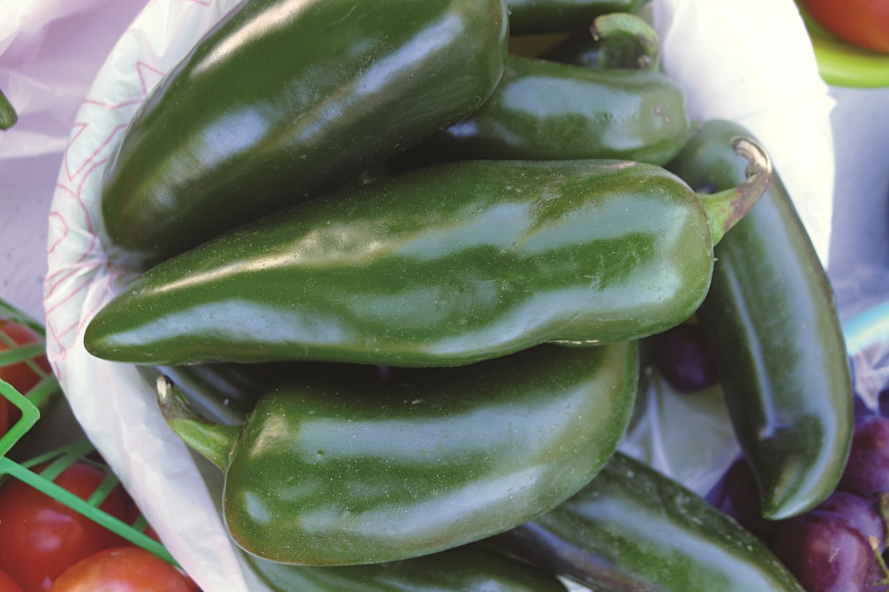 How to Grow Jalapeño Plants | HGTV