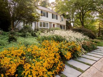 Front Yard With Black-Eyed Susans