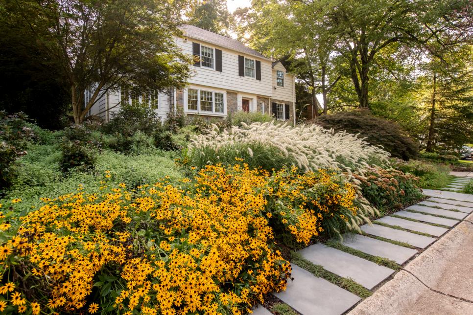 Front Yard With Black-Eyed Susans