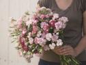 All You Need to Know About Carnation Meaning and Symbolism – April