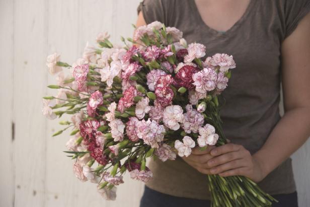 Carnation Bouquet