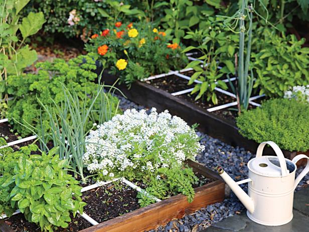 Square Foot Gardening: The Pros & Cons | HGTV