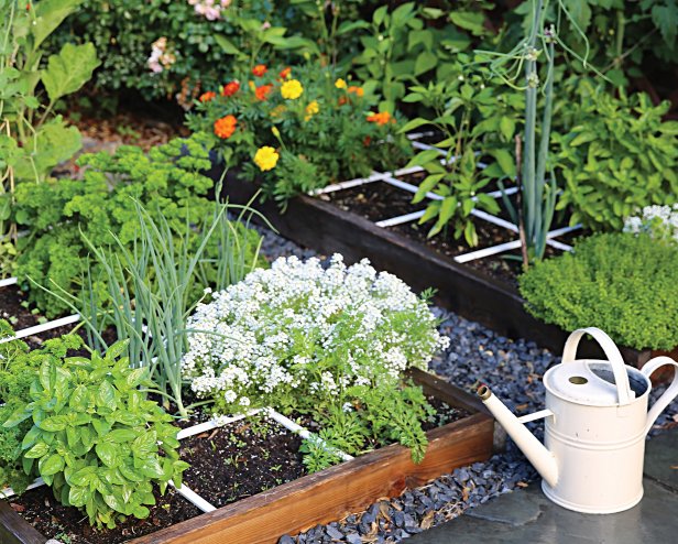 square foot gardening