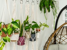 Six handmade cotton macrame plant hangers holding potted plants.
