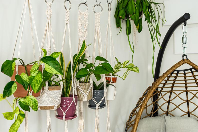 Six handmade cotton macrame plant hangers holding potted plants.