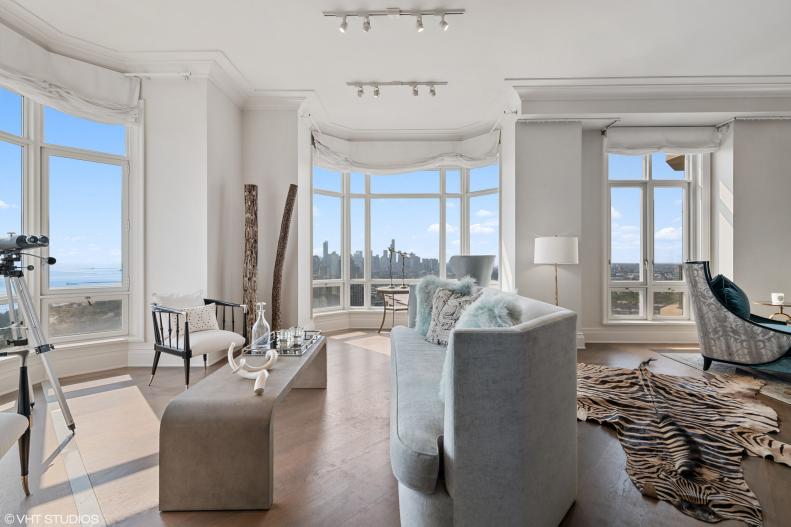 Living Room With Zebra Rug