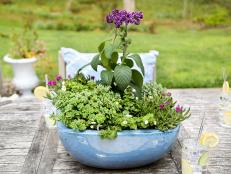 So, you left your pot filled with tender perennials or annuals outside all winter? Whoops! Don't worry, it happens. We'll show you how to determine which plants are ready for another growing season and how to replace the dearly departed with new plants.