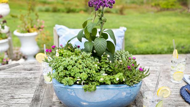 How to Replant an Overwintered Pot in Spring or Summer