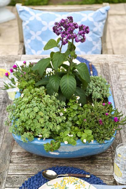 How To Winterize Fabric Pots To Extend The Season - Epic Gardening