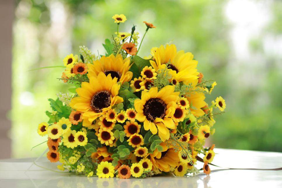 Grow Sunflowers in Cheerful Colors 