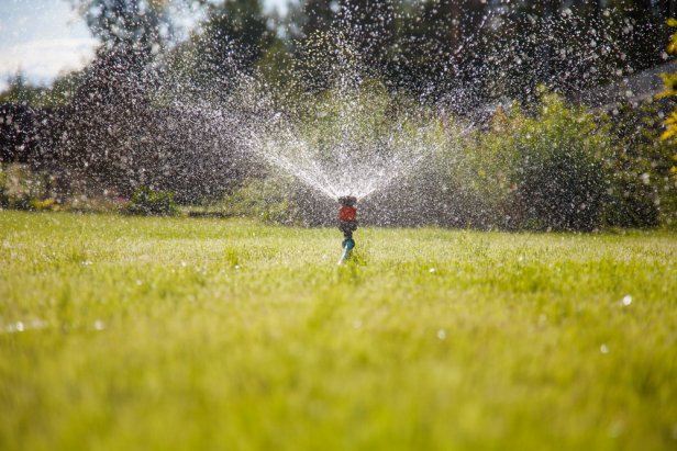 Sprinkler in garden watering the lawn