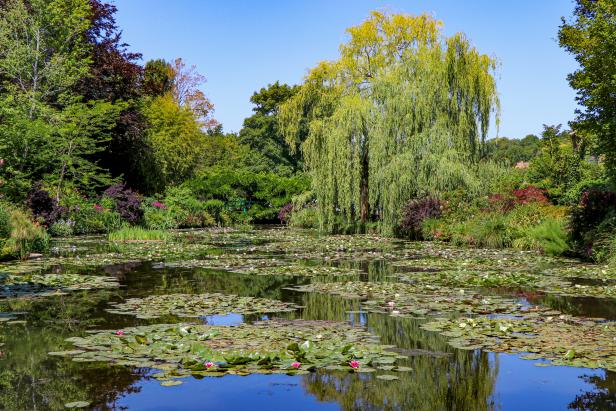 Monet's Water Garden at Giverny, France