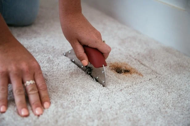 Learn how to repair and patch stained carpeting.