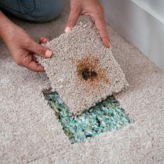 How to Repair Stained Carpeting