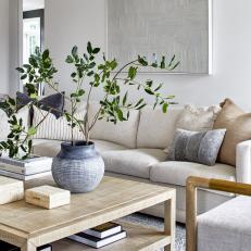 Bright Contemporary Living Room 