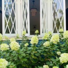 Blue Cottage Home With White Hydrangeas