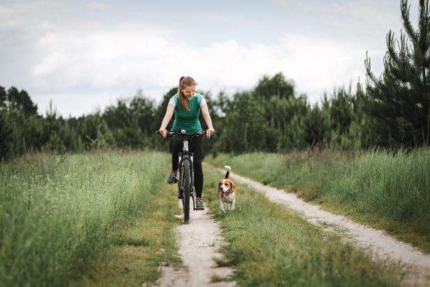 Woman cycling with a dog. Young woman riding bicycle together with her beagle dog pet running nearby. Traveling with a dog