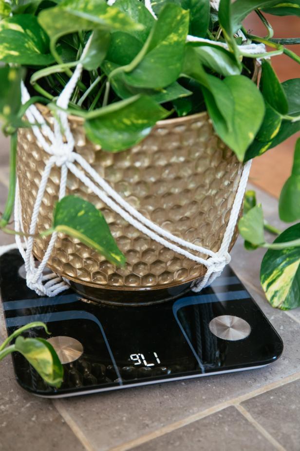 Water your plant in the container you are planning to hang and then weigh it just after watering.