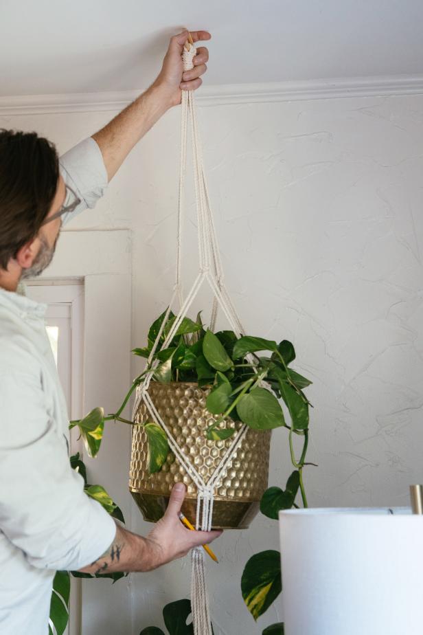 Choose a location to hang your plant. Keep in mind the light requirements of the plant you have chosen.