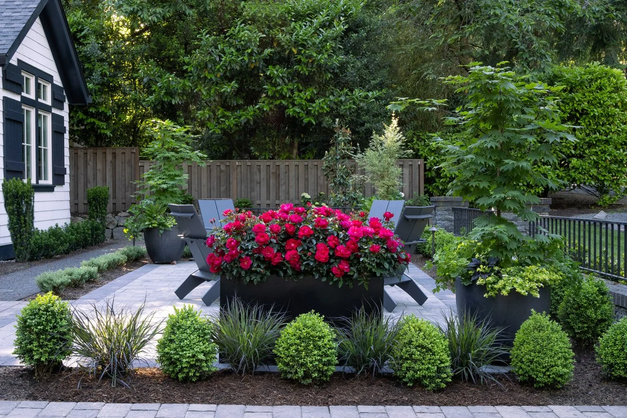 Small backyard landscaping hot sale