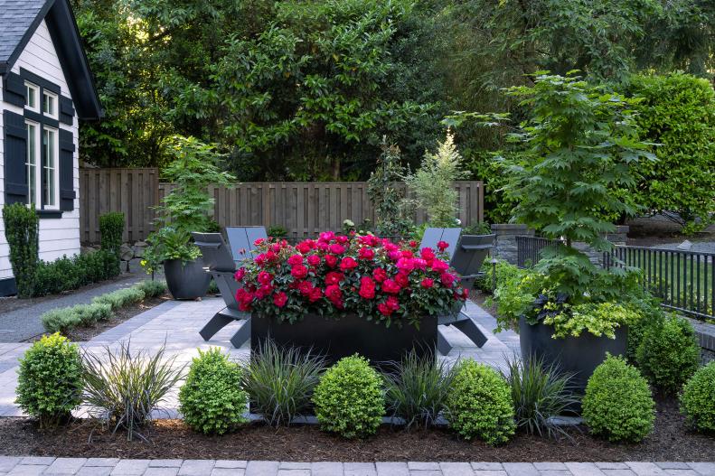 Squares and rectangles define this space in a small backyard. Install pavers to make a seating area big enough to accommodate some chairs for relaxing and edge it with slightly darker pavers for contrast. Let long, rectangular planting beds butt up against them on all four sides for the feel of an outdoor room. For vertical interest, fill the beds with ornamental grasses like Blackhawks Big Bluestem and dwarf English boxwoods. Large containers can hold small trees like this Fullmoon Maple.  For color, grow ‘Grace ‘N Grit’ pink shrub roses in another planter or in the beds as a hedge.  https://www.monrovia.com/blackhawks-big-bluestem.html
https://www.monrovia.com/autumn-moon-fullmoon-maple.html
https://www.monrovia.com/grace-n-grit-153-pink-shrub-rose.html